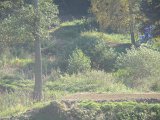2010-10-09 14.49.06PA090006